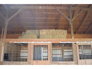 Property photo 92 - REAL ESTATE & PERSONAL PROPERTY AUCTION - 23.5+/- ACRES OFFERED IN 3 TRACTS OR COMBINATIONS IN EAST ALLEN COUNTY